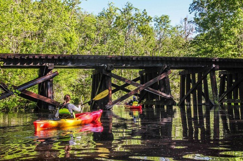 Amelia Island Guided Kayak Tour of Lofton Creek 4