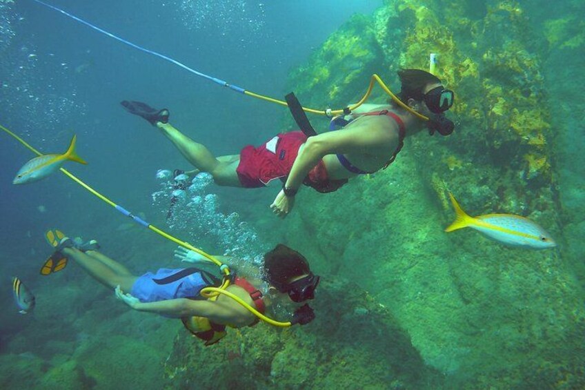 Tres buzos bajo el agua, con peces cerca. 5