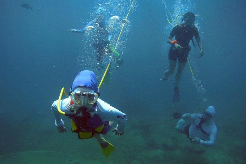 Buceadores bajo el agua con equipo de buceo, aletas y tanques de oxígeno. 1
