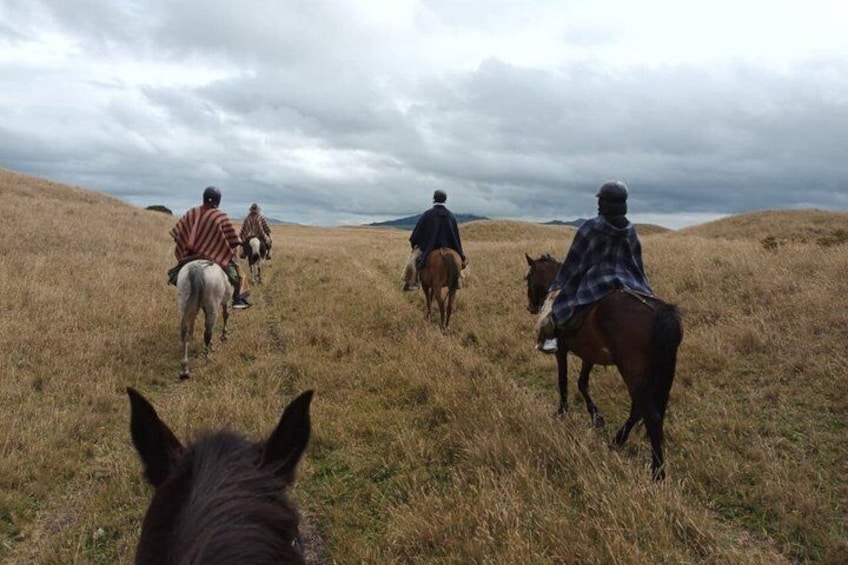 Un grupo de personas montando a caballo en una colina cubierta de hierba. 2