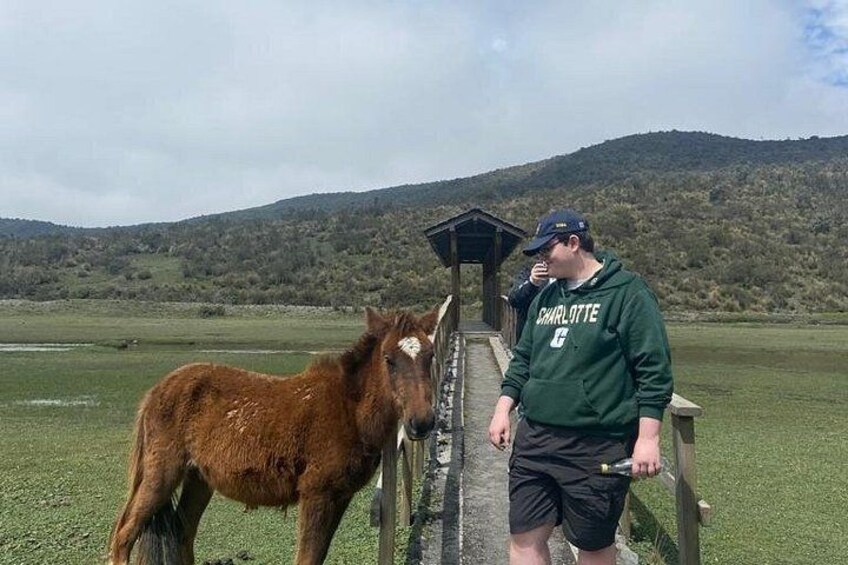 Cotopaxi Horseback Riding Tour from Quito – Andes Adventure 4
