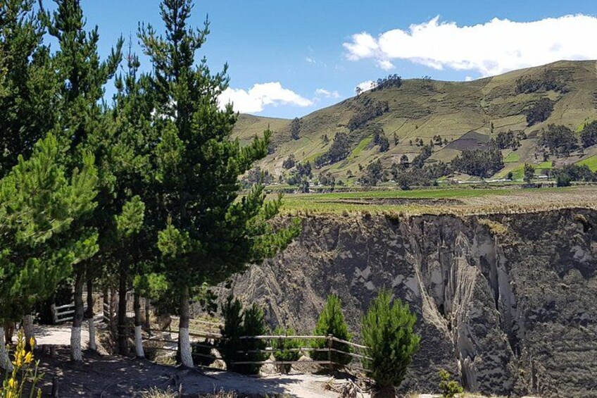 A landscape with a cliff, trees, and a distant hill. 3