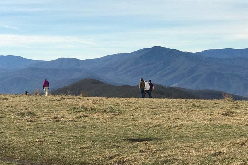 Blue Ridge Mtns Hiking Tour with the areas top rated trail expert 3