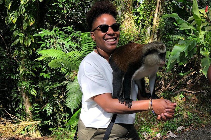 Grenada Spice Gardens, Rum & Chocolate Tour (Full/Half Day) 5