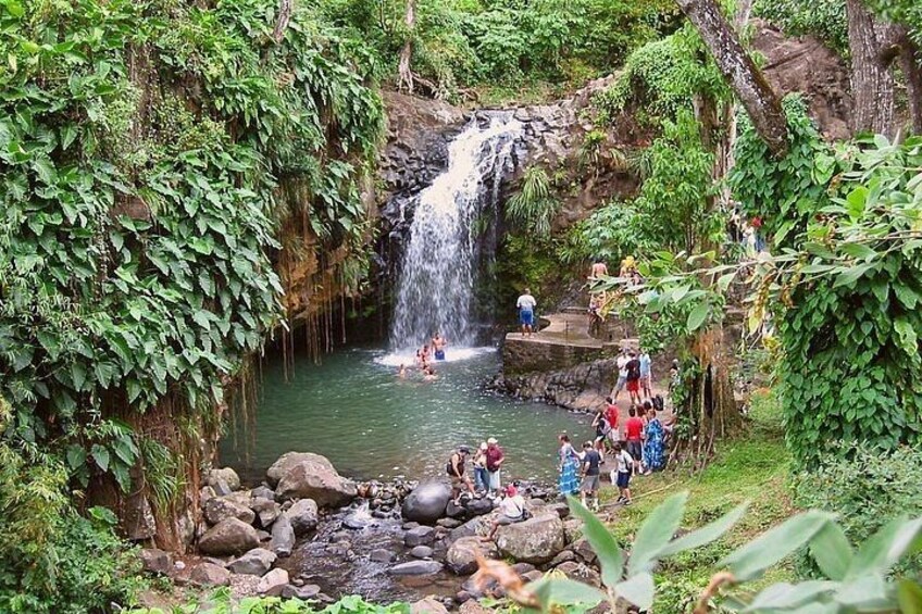 Grenada Spice Gardens, Rum & Chocolate Tour (Full/Half Day) 2