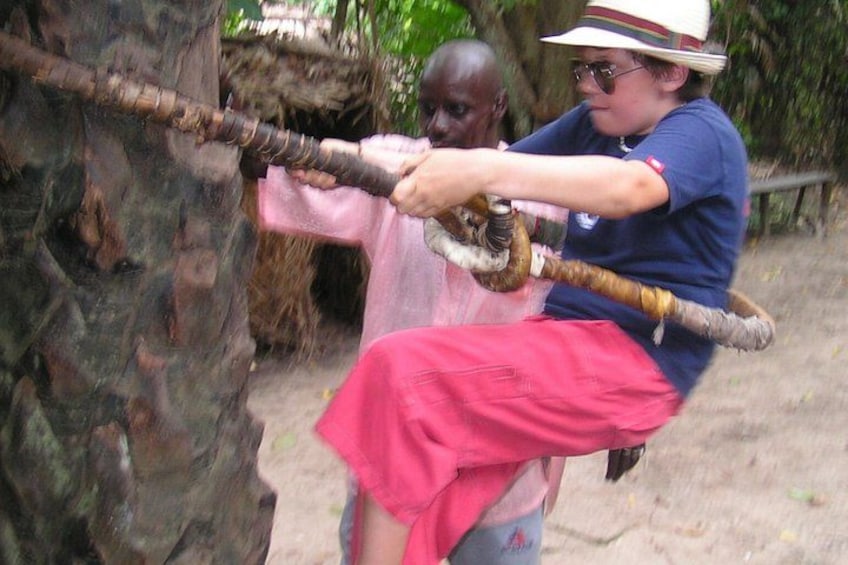 Climbing the palm tree 1