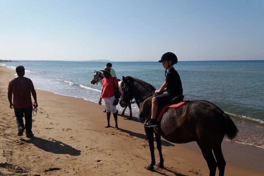 Walking at the beach and forest with guide 