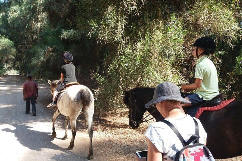 Walking at the beach and forest with guide 