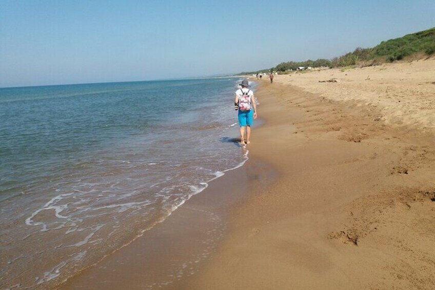 Walking at the beach and forest.