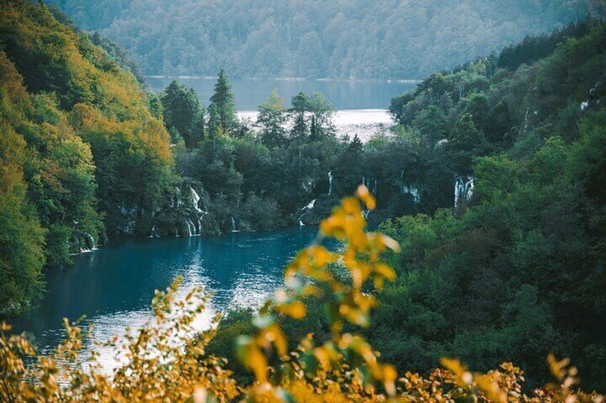 A river surrounded by dense forest, a distant lake, and a mountain range. 3
