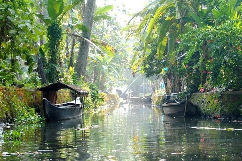 A calm river with boats and lush greenery. 4