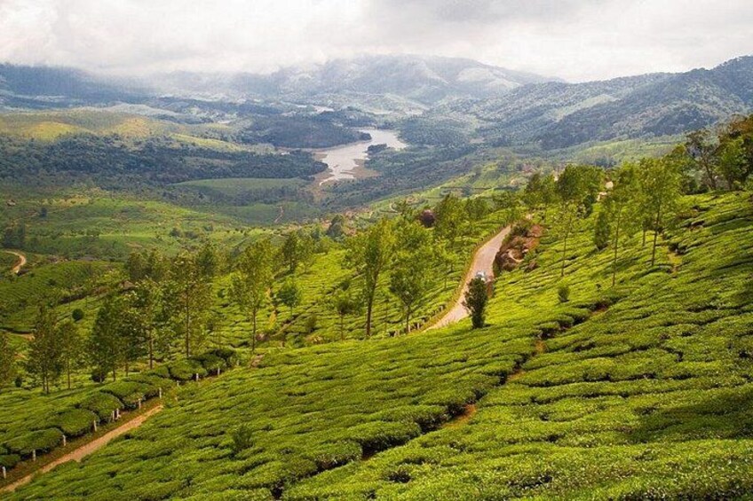 Kerala Backwater Hill Tour 2