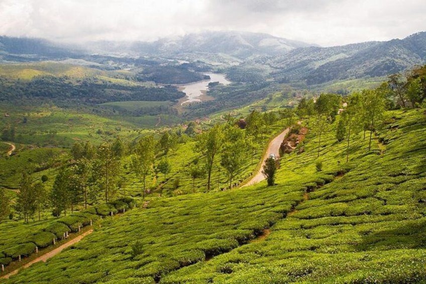 Kerala Backwater Hill Tour