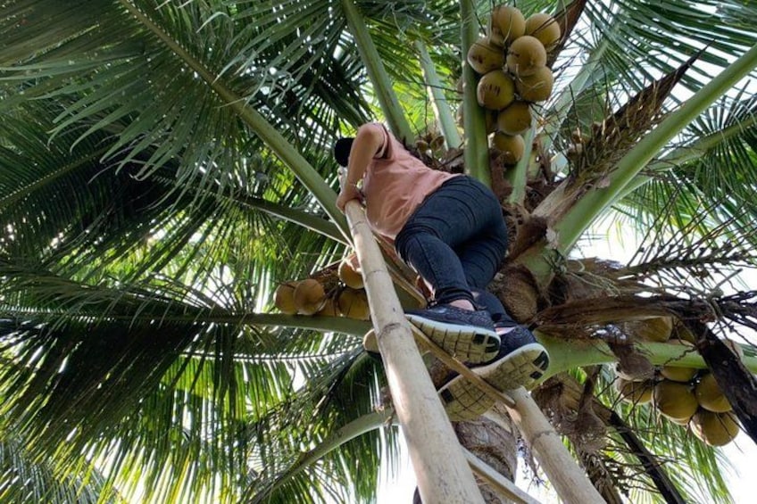 Mekong Delta and Cai Rang Floating Market 5-Hours Tour 5