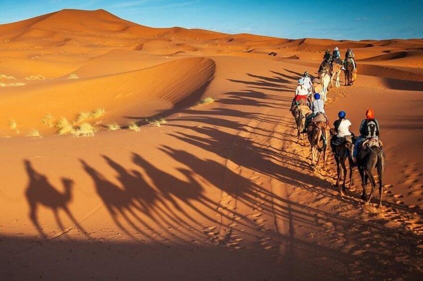 Desert tour 2