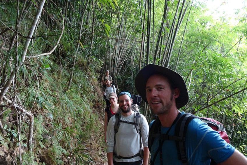 Eine Gruppe Wanderer auf einem Waldpfad, umgeben von dichtem Bambusbewuchs. 3