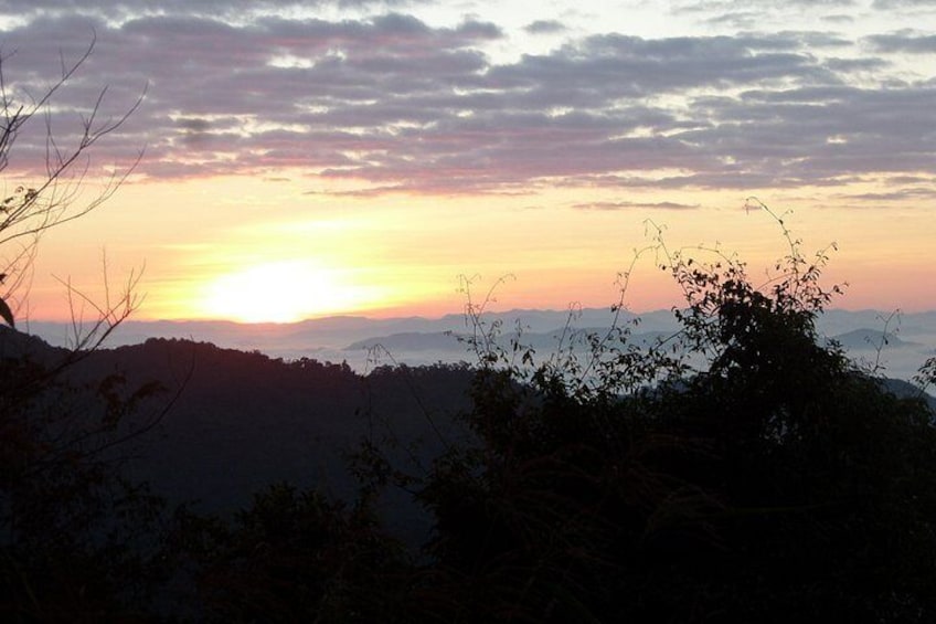 The Wild Explorer - 3 days forest trek with homestay and camping 3