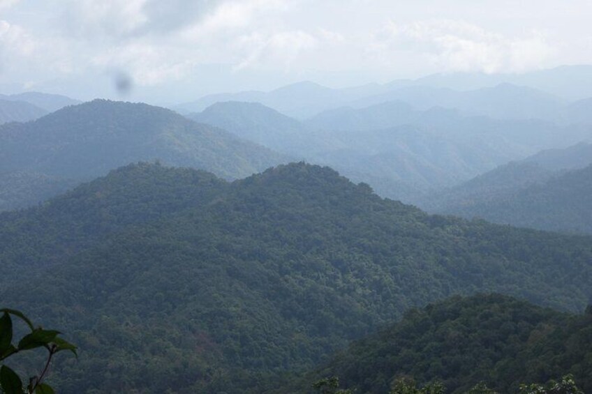 Great view along the hiking trail. 