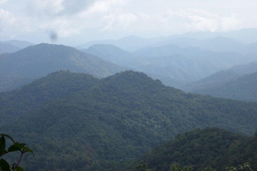 The Wild Explorer - 3 days forest trek with homestay and camping 4