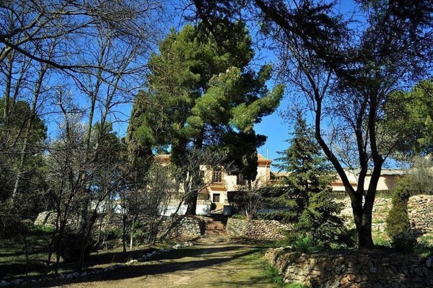 Un sendero de piedra conduce a un edificio rodeado de árboles bajo un cielo azul despejado. 3