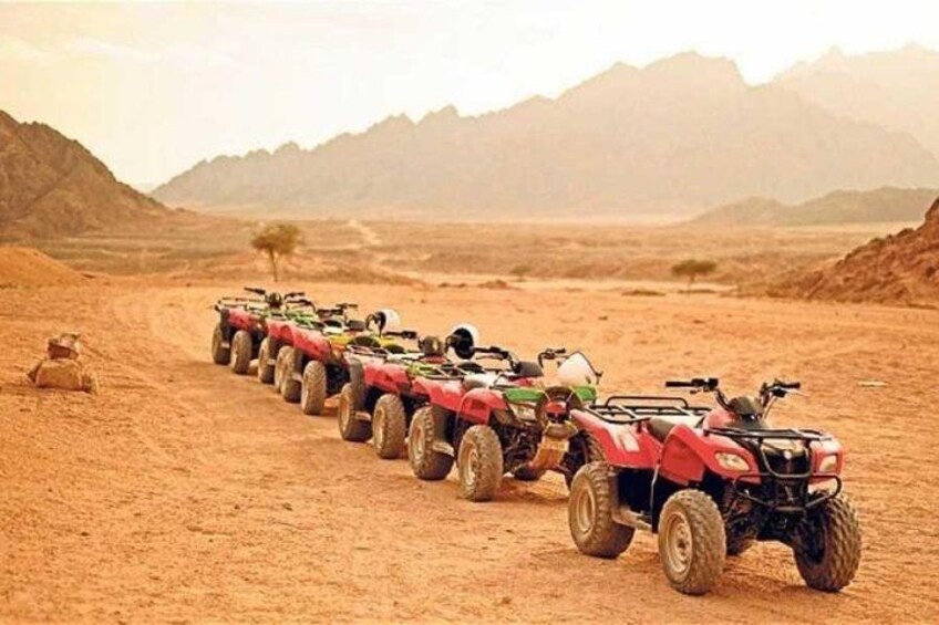 Quad Biking in the Egyptian Desert from Hurghada 2
