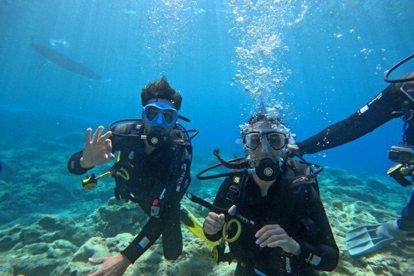 Two scuba divers underwater with fins and tanks, surrounded by clear blue water and rocky ocean floor. 2