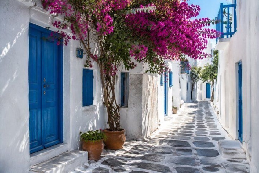 Une rue étroite bordée de bâtiments blancs, de portes bleues et de fleurs de bougainvillier roses. 4