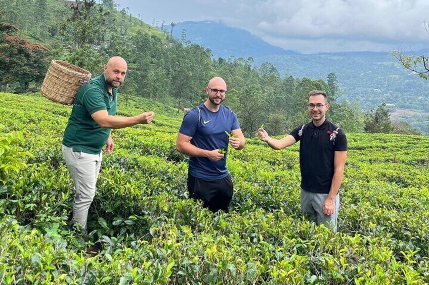 Nuwara Eliya Tea factory and waterfall tour 2