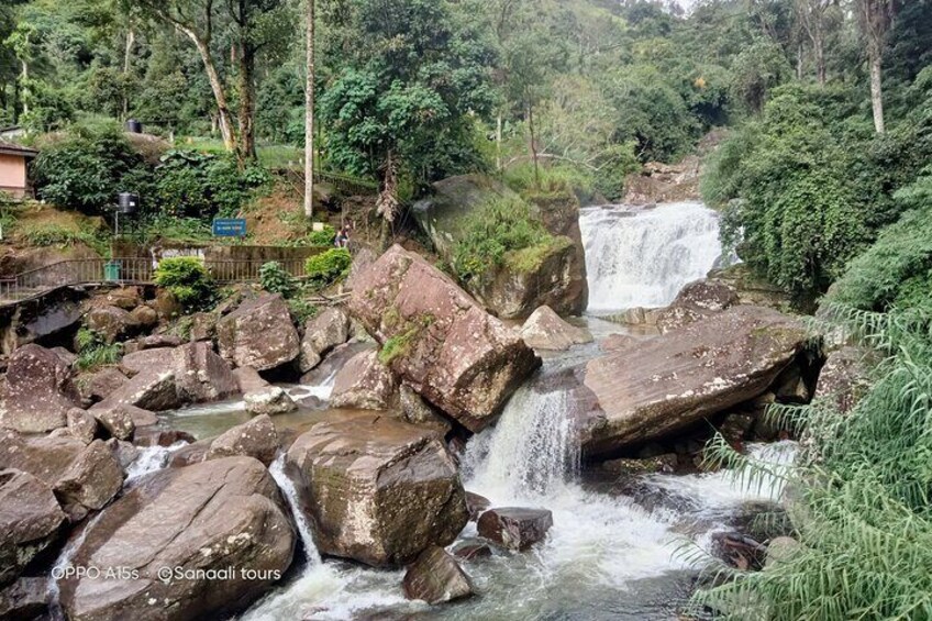 Nuwara Eliya Tea factory and waterfall tour 5