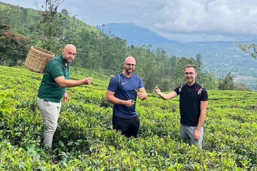 Nuwara Eliya Tea factory and waterfall tour 1
