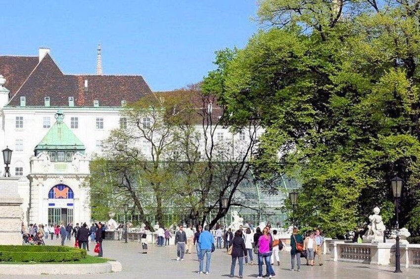 Schmetterlinghaus - Imperial Butterfly House Vienna Admission Ticket 4