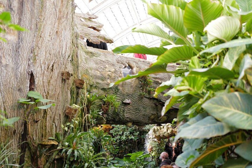 Schmetterlinghaus - Imperial Butterfly House Vienna Admission Ticket 3