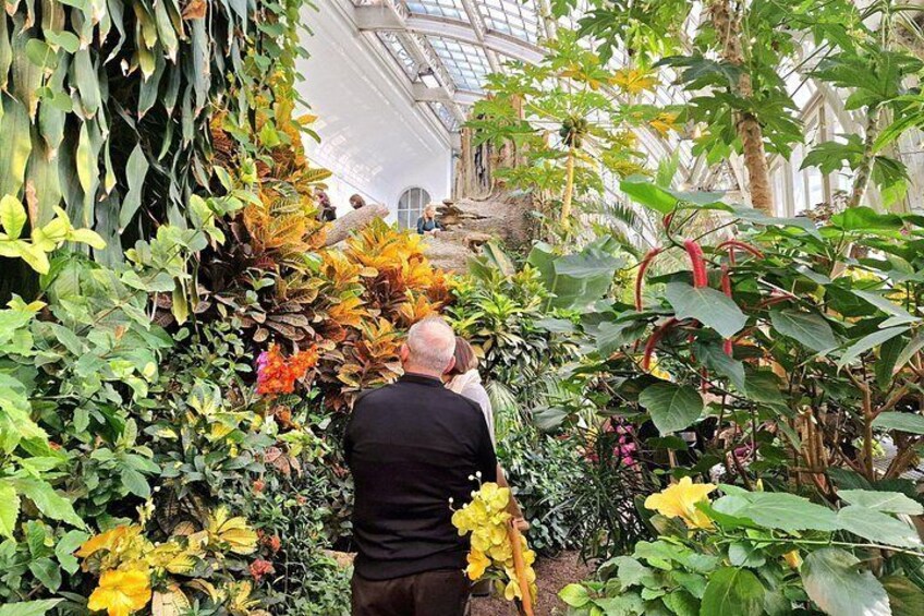 Schmetterlinghaus - Imperial Butterfly House Vienna Admission Ticket 5
