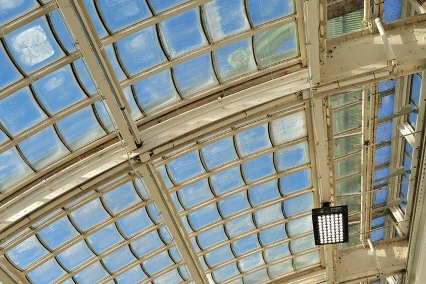 Schmetterlinghaus - Imperial Butterfly House Vienna Admission Ticket 2