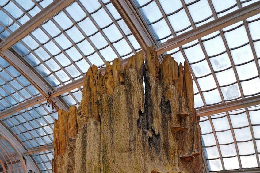 Schmetterlinghaus - Imperial Butterfly House Vienna Admission Ticket 5