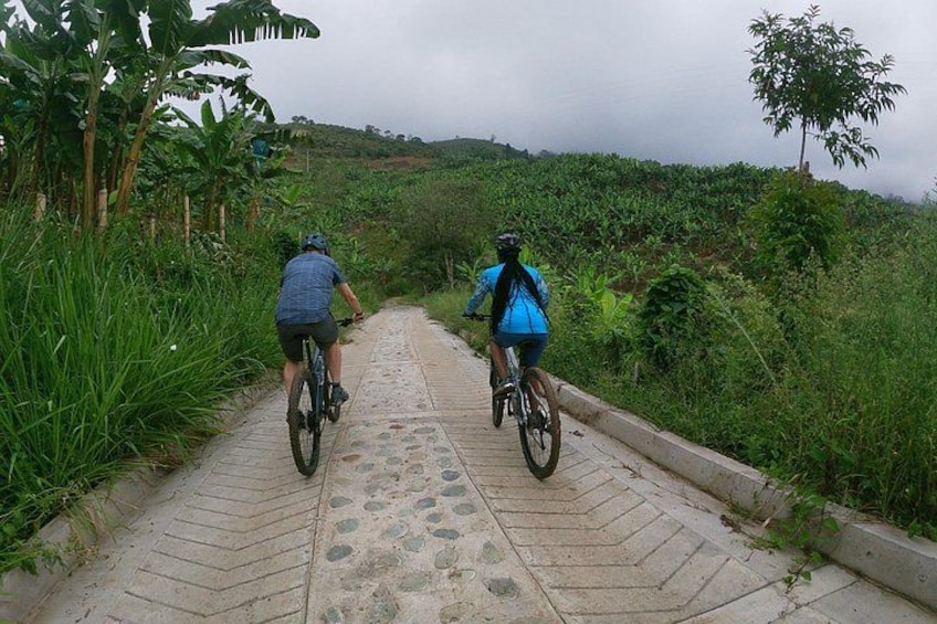 Dos ciclistas en un camino pavimentado rodeado de vegetación. 1