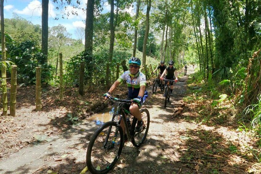 A person riding a mountain bike on a dirt trail surrounded by dense forest. 2