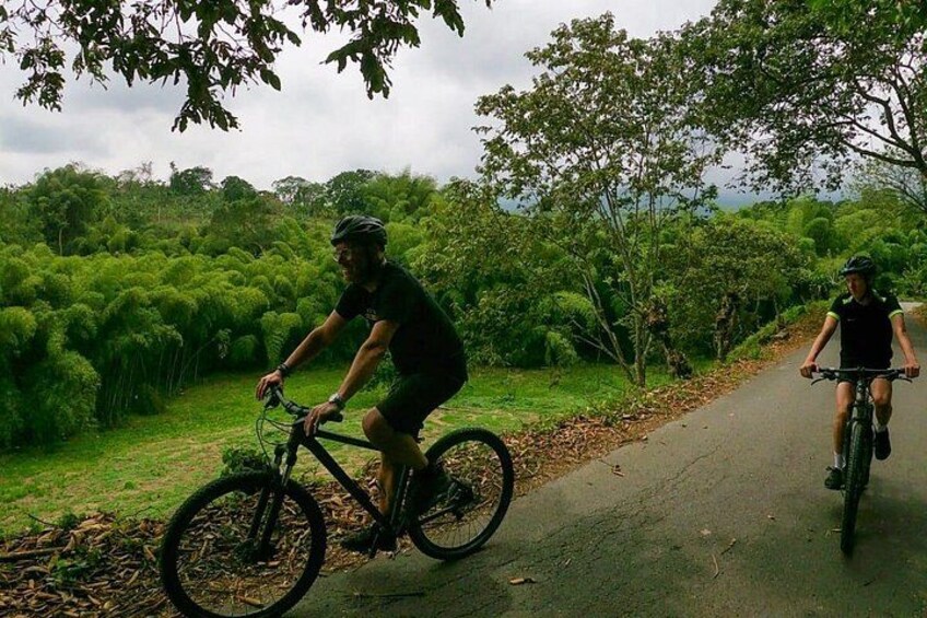 Two cyclists on a paved path surrounded by lush greenery. 1