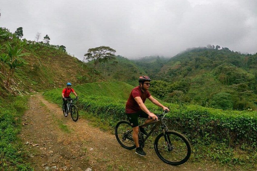 Dos ciclistas en un sendero de tierra rodeados de exuberante vegetación y colinas. 4