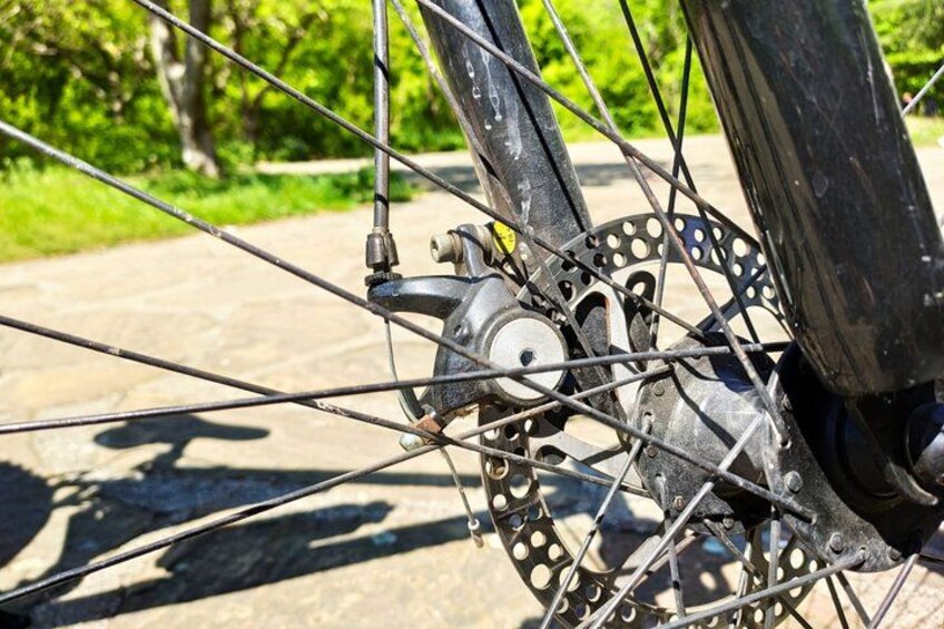A bicycle wheel with spokes and a disc brake rotor. 2