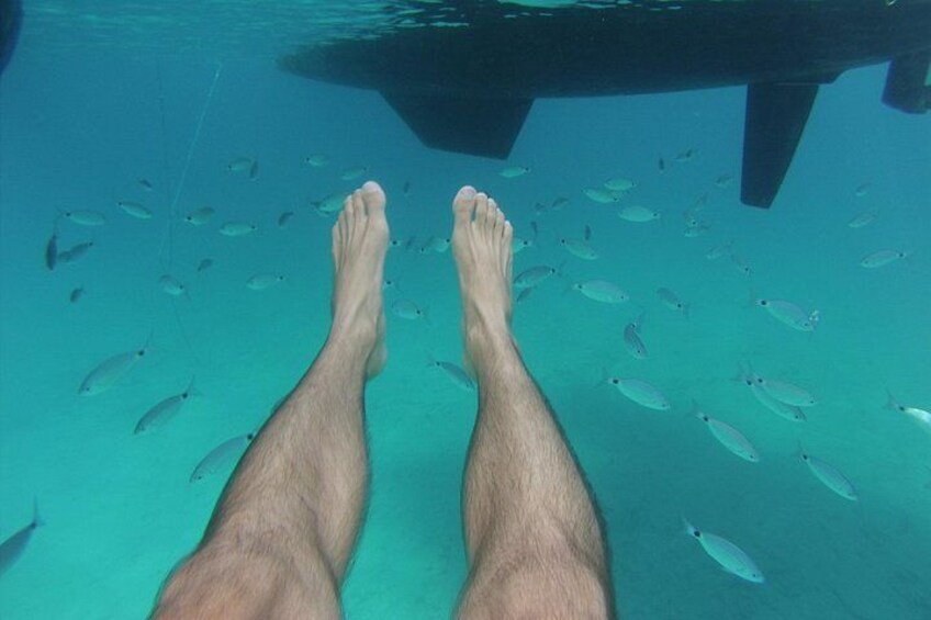 Playa Es Arenals Catamaran Private Full Day Trip 2