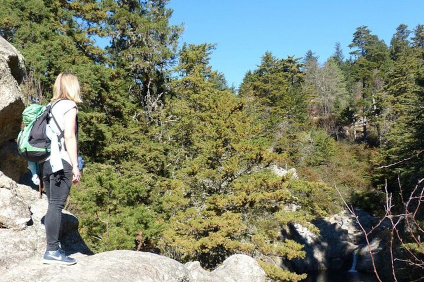Une personne se tient sur un rocher, un sac à dos sur le dos, entourée d’arbres et sous un ciel dégagé. 1