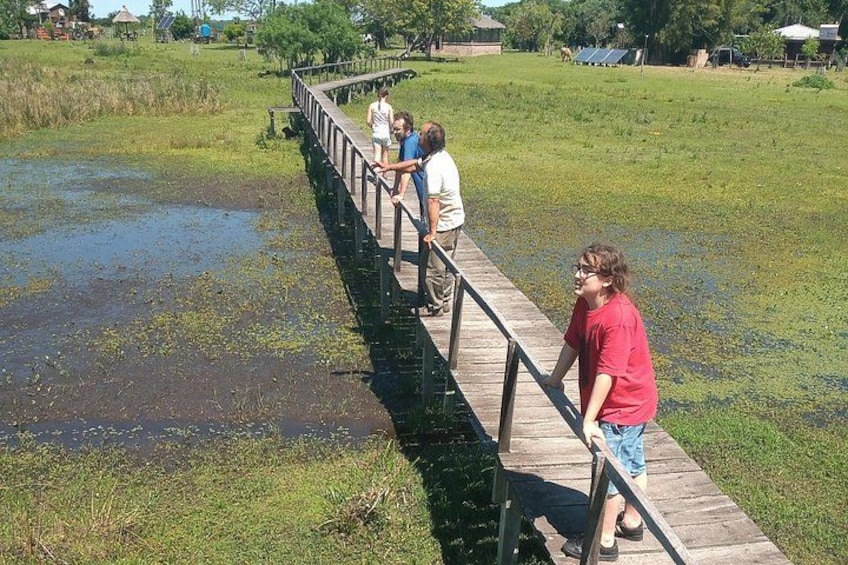 A wooden boardwalk over a wetland area with people walking. 5