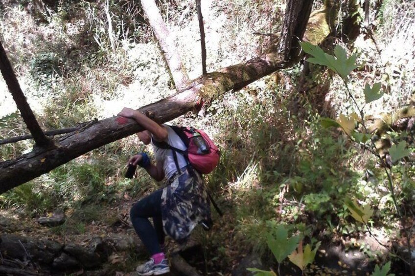 Corfu Countryside Hiking Tour 4