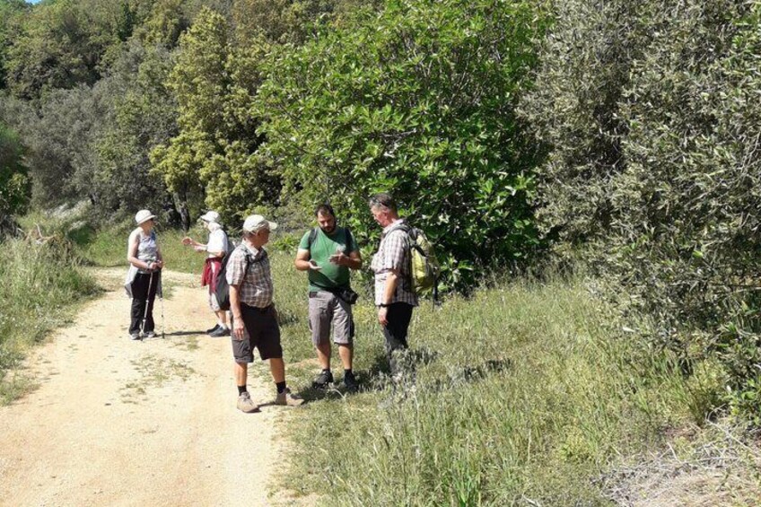 Corfu Countryside Hiking Tour 2
