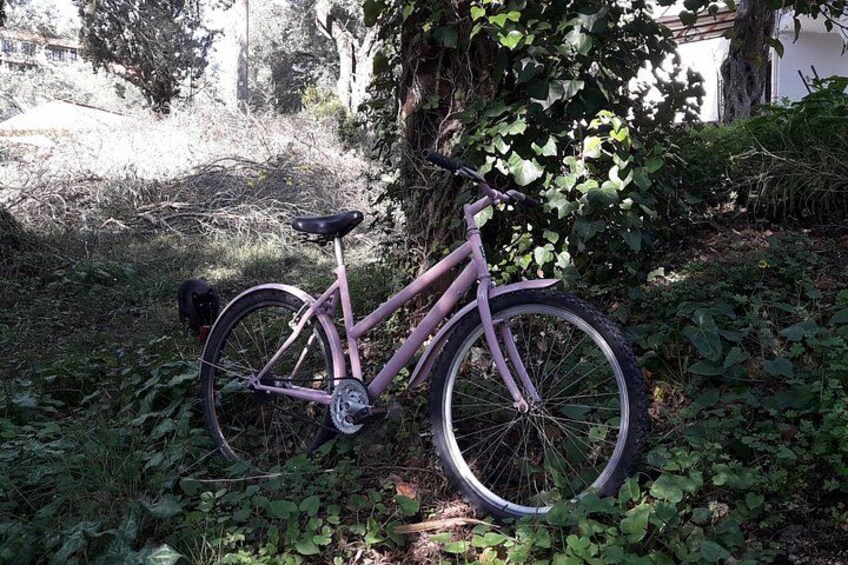 The Pink Bike Tour: Visit the "Durrells Garden" 2