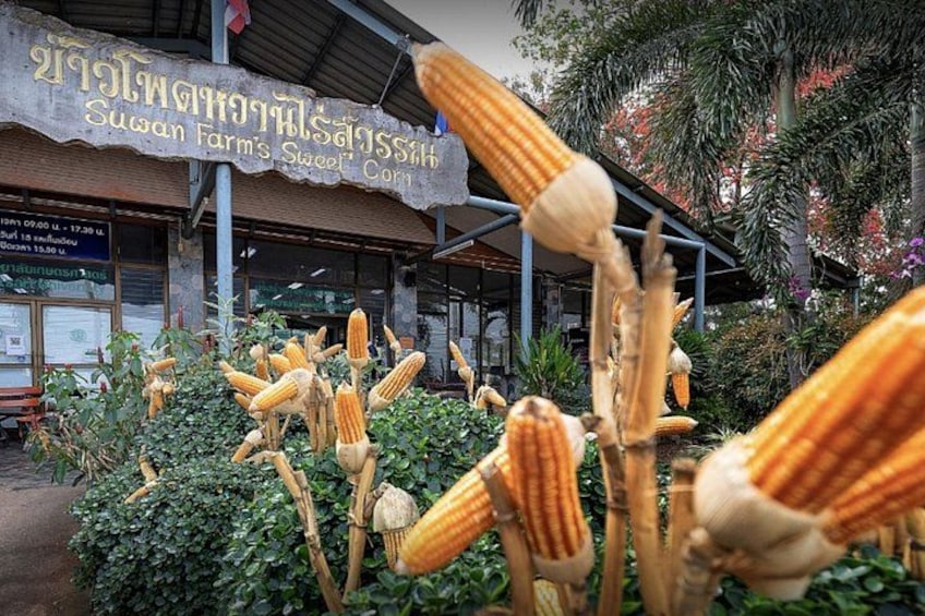 A market stall with a sign in a foreign language, surrounded by corn cobs. 4
