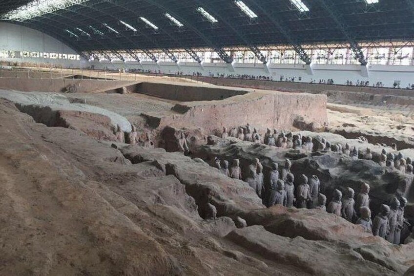 Morning Tour to Terracotta Warriors Museum with Lunch 2