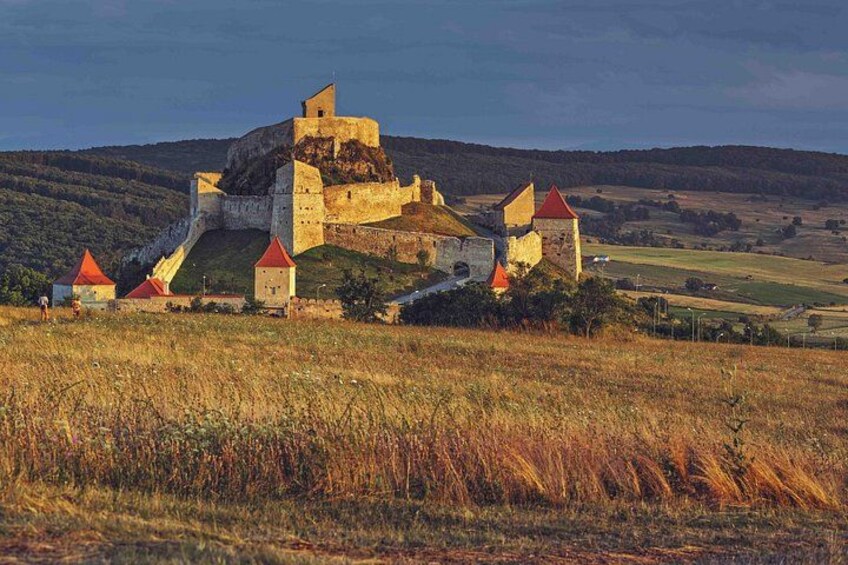 A medieval castle on a hill with red-roofed buildings, surrounded by fields. 3