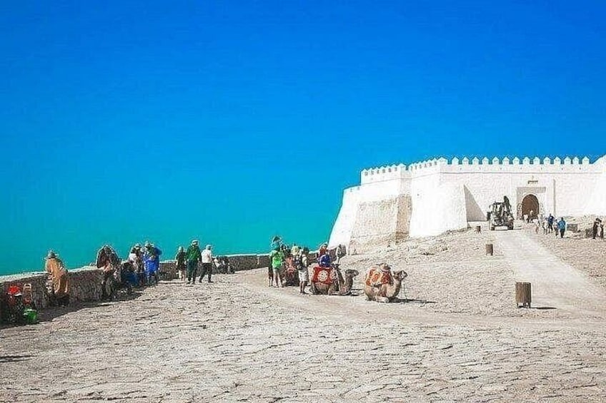 Una fortificazione costiera con cielo azzurro, un percorso pedonale lastricato e cammelli. 2
